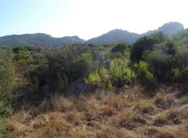 Immobile in asta di 5745 m² in vendita a Olbia - Foto 5