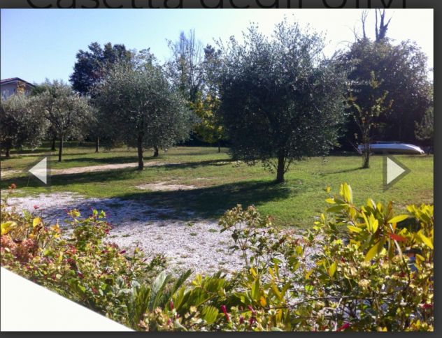 Casetta degli Ulivi (Marina di Massa - Foto 2