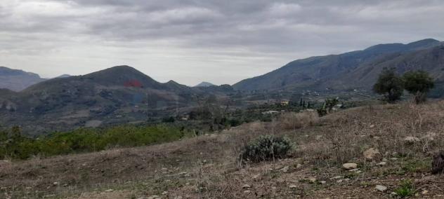 Terreno in vendita a Caccamo - Foto 19