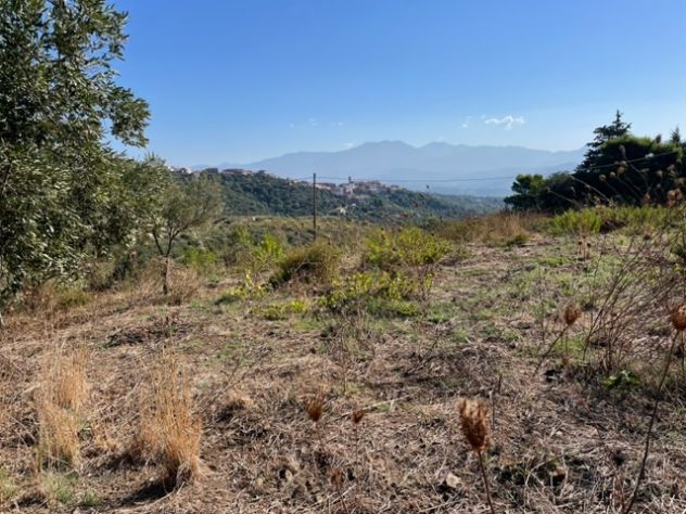 Casal Velino a 3 Km dal mare terreno mq 6.650 - Foto 4