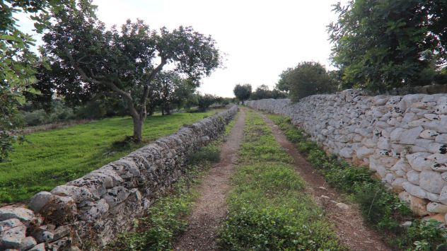 Scicli, sassi a vista in contrada Calamarieri - Foto 20