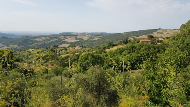 Porzione di casa in vendita a Castiglione d'Orcia - Foto 5