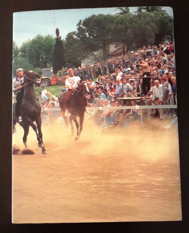 L'altro Palio, MICHELA FABBIANI, Giugno 1996. - Foto 3