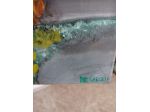 Invaso pappadai a primavera -olio su tela -50x70cm.