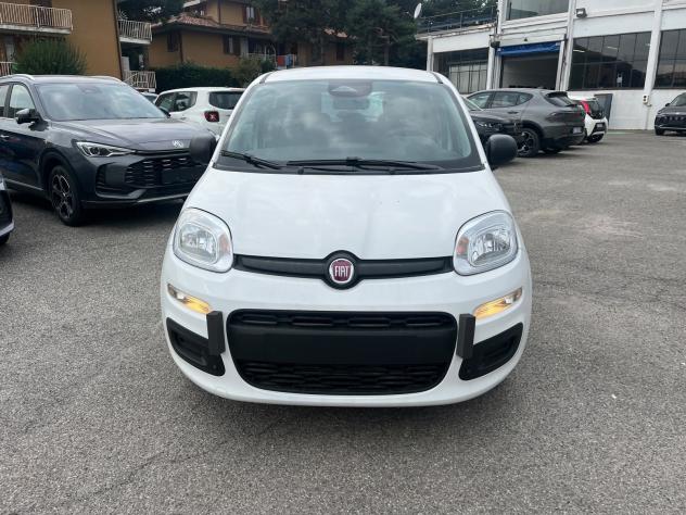 FIAT Pandina Pandina 1.0 firefly hybrid Icon s&s 65cv - Foto 2