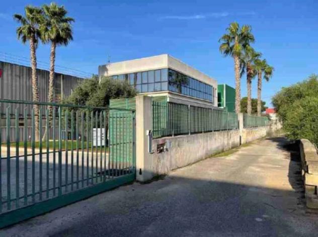 Immobile in asta di 7775 m² in vendita a Marsala - Foto 2