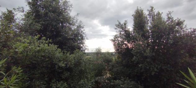 VILLA di 6 vani e di 110 mq (PIETRASANTA) rif. P318 - Foto 5