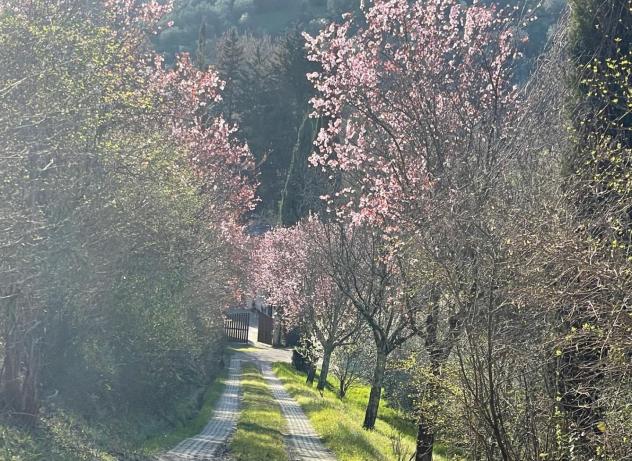 Colonica in vendita a San Casciano in Val di Pesa 300 mq Rif: 1164723