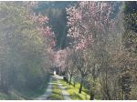 Colonica in vendita a San Casciano in Val di Pesa 300 mq  Rif: 1164723