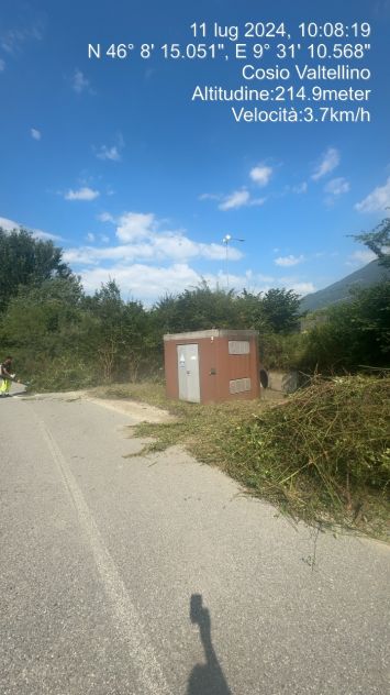 Cerco lavoro pulizia uliveti giardinaggio - Foto 4