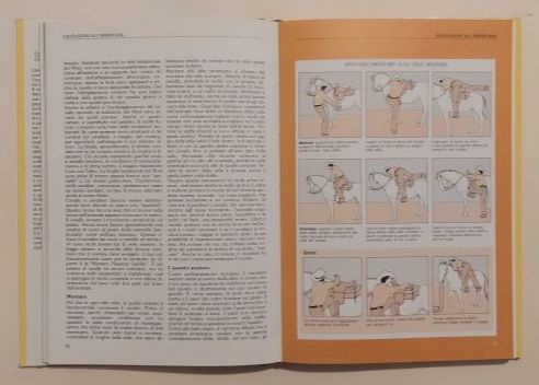 Manuale di equitazione di Sally Gordon Editore: De Agostini, 1987 perfetto - Foto 6