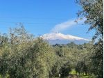 Agricolo in vendita a Belpasso