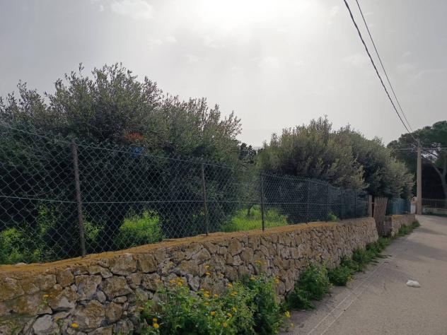 Terreno Edificabile in vendita a Siracusa, Plemmirio - Foto 13