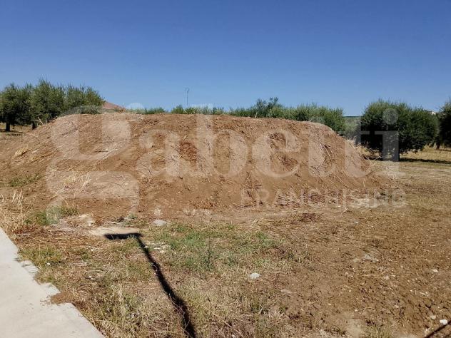 Terreno Residenziale - Sant'Omero . Rif.: Cod. rif A142VRG - Foto 2