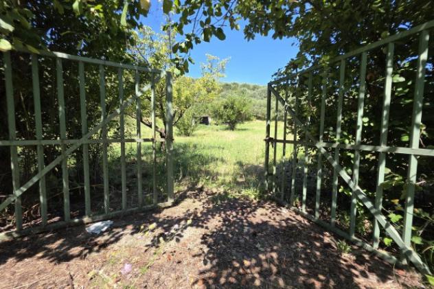 Terreno di 12000 m² in vendita a Guidonia Montecelio - Foto 3