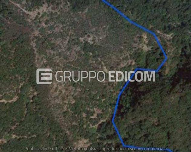 Terreno di 88450 mq in vendita a Zagarise - Rif. 4549941