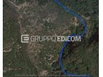 Terreno di 88450 mq  in vendita a Zagarise - Rif. 4549941