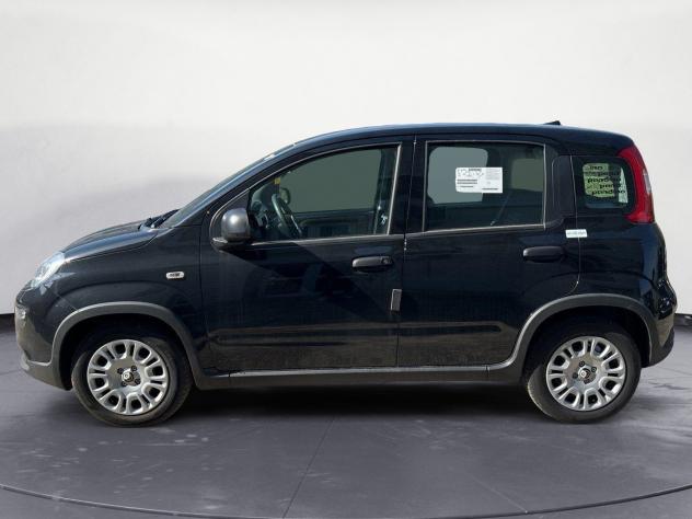 FIAT Panda 1.0 firefly hybrid s&s 70cv - Foto 2