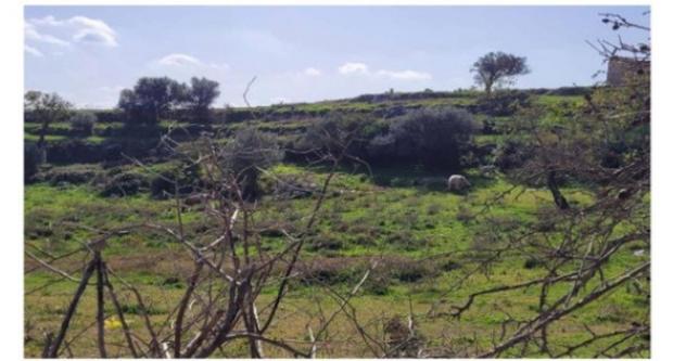 Immobile in asta di 51620 m² in vendita a Ragusa - Foto 9
