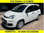 FIAT Panda 1.0 5 Posti Hybrid rif. 23883585
