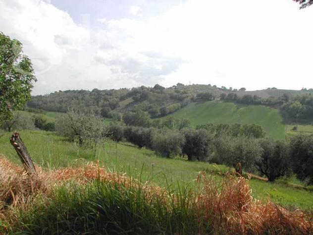 Rustico/Casale/Corte - Senigallia . Rif.: SVE93VRG - Foto 3