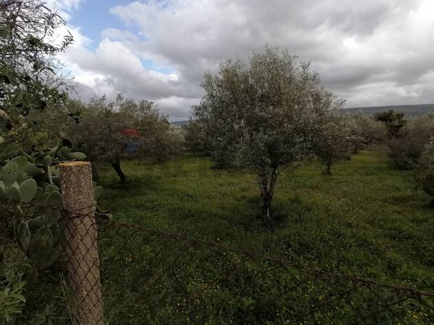 Altro in vendita a Comiso - Foto 12