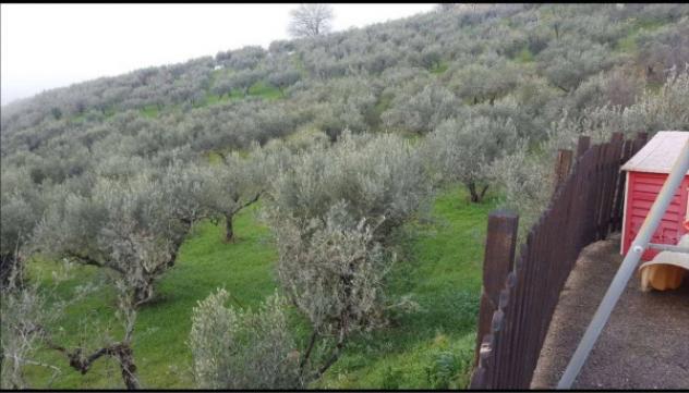 Immobile in asta di 13485 m² in vendita a Gualdo Cattaneo - Foto 2