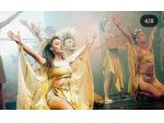 BALLERINI , COREOGRAFI CANTANTI  PERFORMER  ESTATE 2027