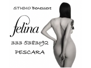 Massaggi - benessere Pescara - FELINA MASSAGGI BENESSERE Tel:3311958888