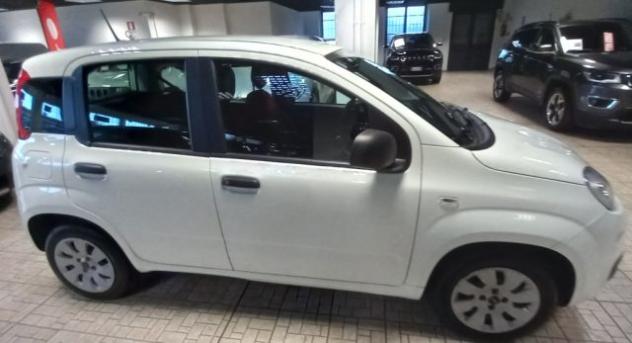 FIAT Panda 1.2 Pop rif. 24217028 - Foto 2