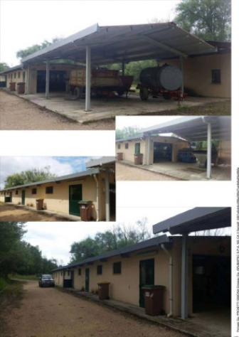 Immobile in asta di 296 m² con più di 5 locali in vendita a Collazzone - Foto 7
