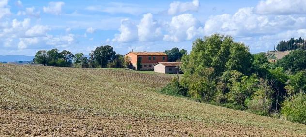 Colonica in vendita a Asciano 1000 mq Rif: 536015
