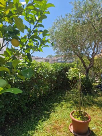 Appartamento in vendita a Ronchi - Massa 95 mq Rif: 1432051 - Foto 5