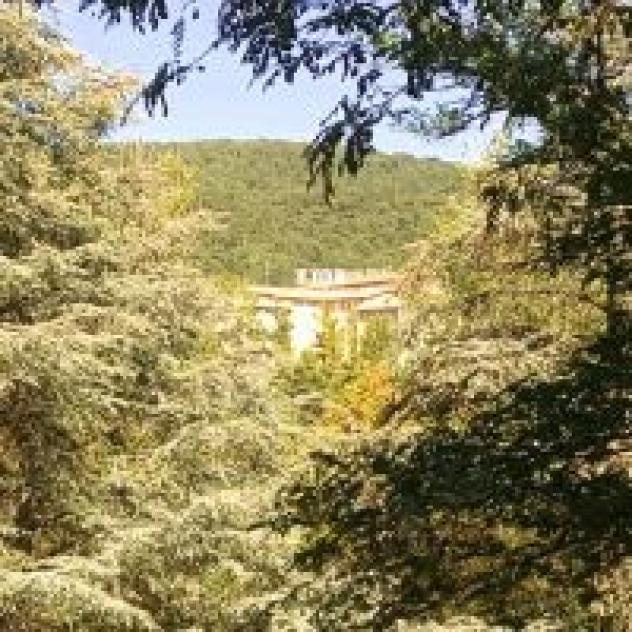 Hotel Sole - Foto 4