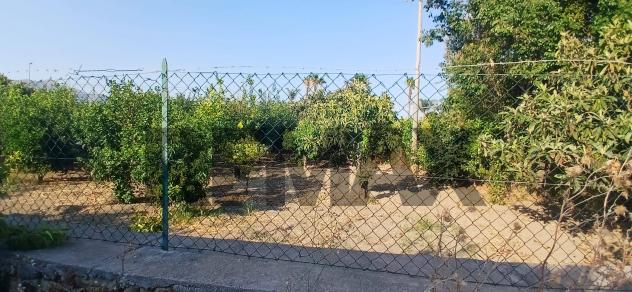 Terreno in vendita a Calatabiano, San Marco - Foto 11