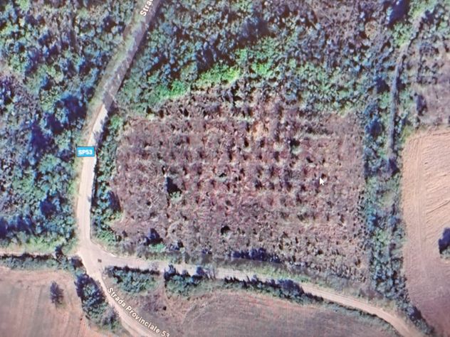 Terreno agricolo