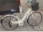 City bike sport con cestino