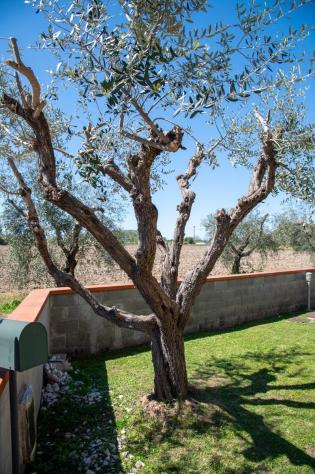 Villa in vendita a San Giuliano Terme 160 mq Rif: 1409423 - Foto 9