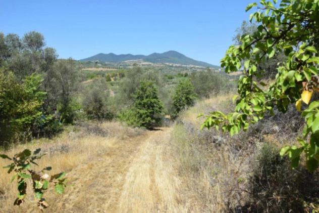 Immobile in asta di 1856 m² in vendita a Barile - Foto 4