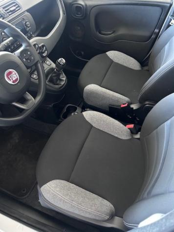 FIAT Panda 1.0 FireFly S&S Hybrid City Life rif. 23490388 - Foto 9