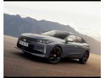 DS N°4 PALLAS HYBRID 145