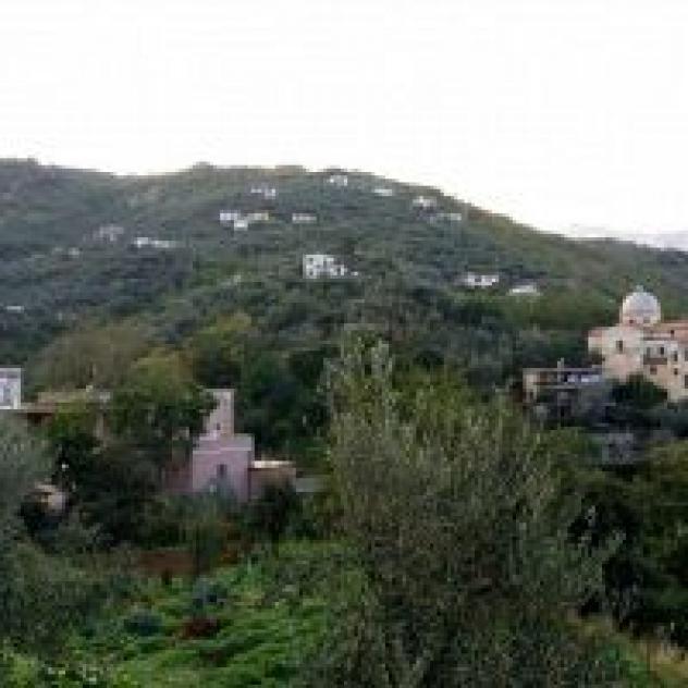 Casale Le Noci - Foto 4