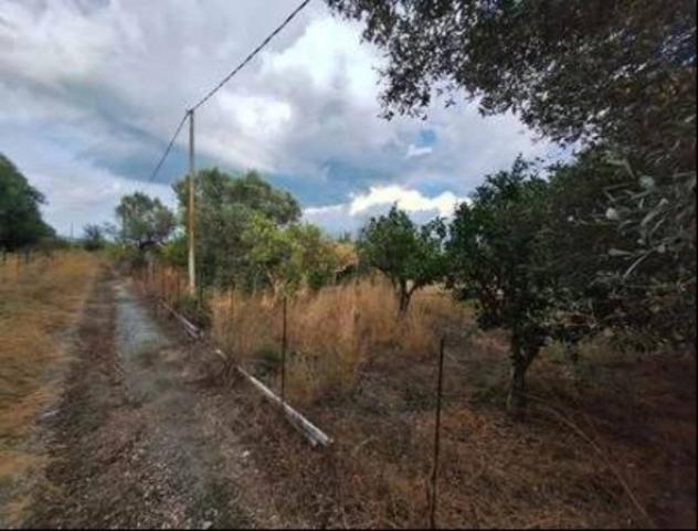 Immobile in asta di 1960 m² in vendita a Bovalino - Foto 2