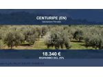 Immobile in asta di 18571 m² in vendita a Centuripe