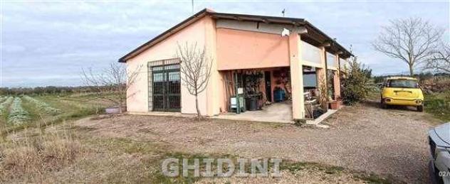 RUSTICO di 2 vani e di 130 mq (GROSSETO - POGGIALE) rif. 2537.28M
