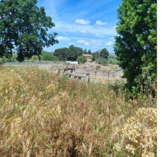 Immobile in asta di 335 m² in vendita a Altamura - Foto 3