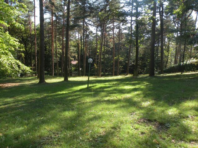 Ulti,o lotto edificabile in un bosco in tutta la Lombardia - Foto 3