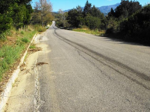 Agricolo in Via Salicuneta - Foto 2