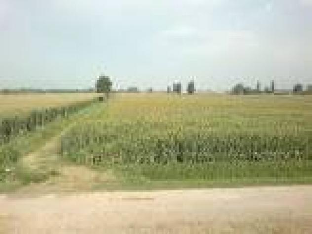 Terreno agricolo in vendita a Nodica - Vecchiano 5830 mq Rif: 648812