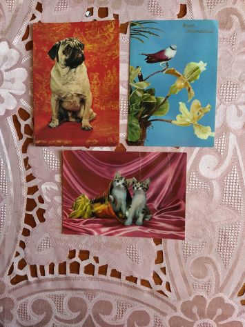 B241- RARE CARTOLINE DI ANIMALI  CON FRANCOBOLLO - Foto 3
